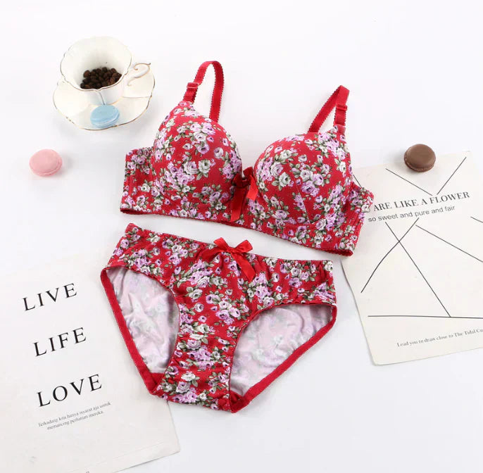 8-Pack Bra & panties Set imported